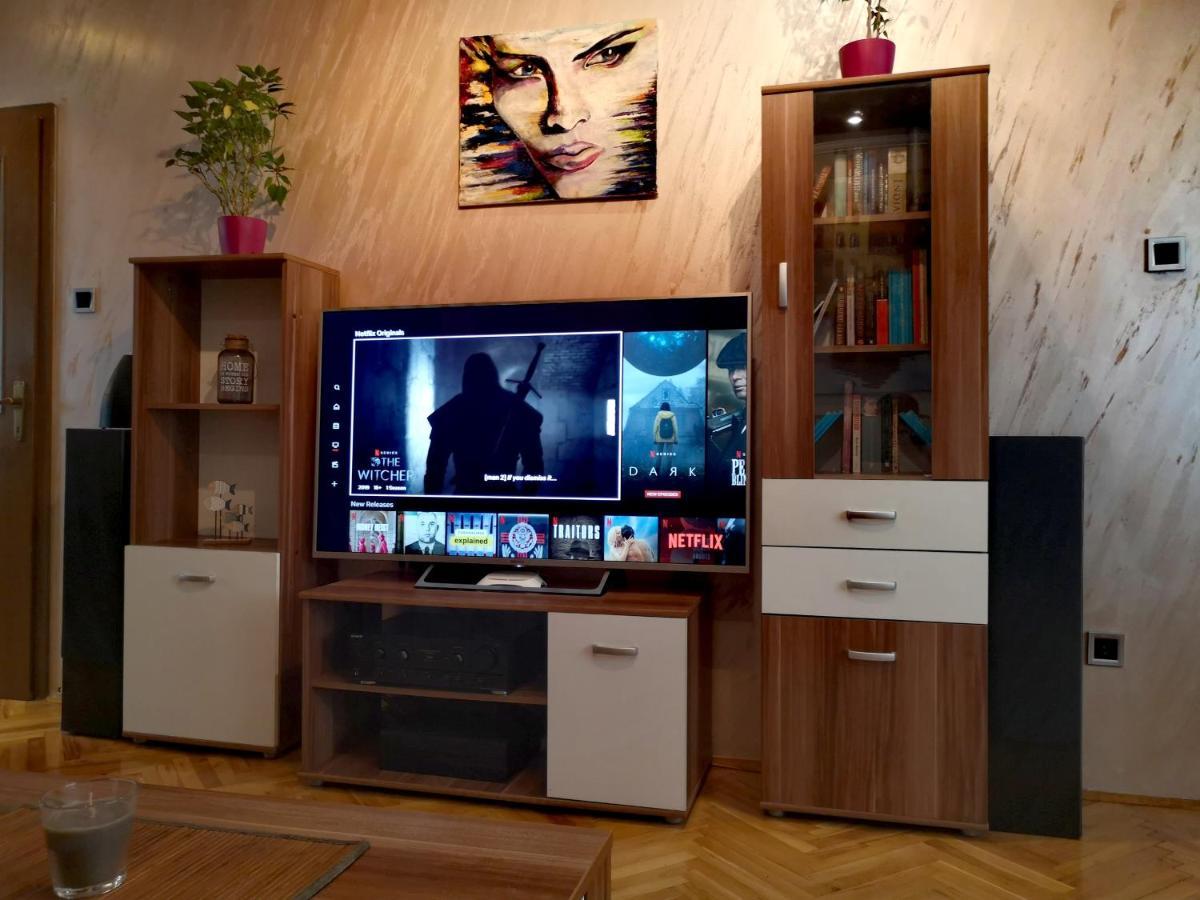 Apartman Villa Čačak エクステリア 写真